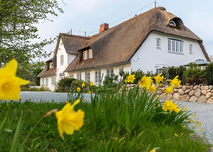 Groot's Hues - 3 »duenensand« *